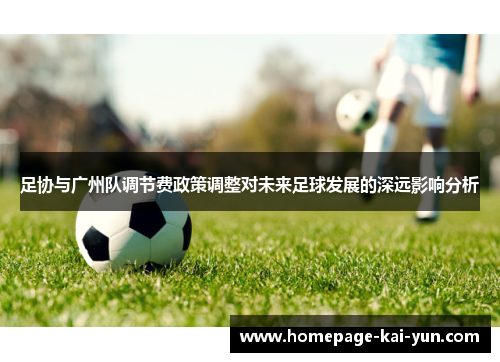 足协与广州队调节费政策调整对未来足球发展的深远影响分析